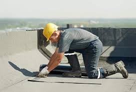 Best Roof Leak Repair  in Cartervle, IL